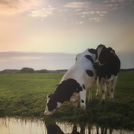 Appartamento Amsterdam Countryside Met Airco ,Geweldig Uitzicht, Luxe Keuken,Wasmachine,Droger,Gratis Fietsen Den Ilp Esterno foto