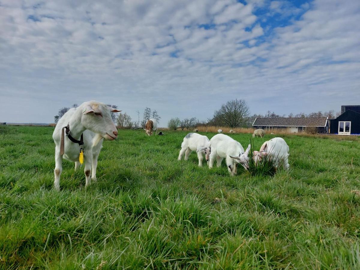 Appartamento Amsterdam Countryside Met Airco ,Geweldig Uitzicht, Luxe Keuken,Wasmachine,Droger,Gratis Fietsen Den Ilp Esterno foto