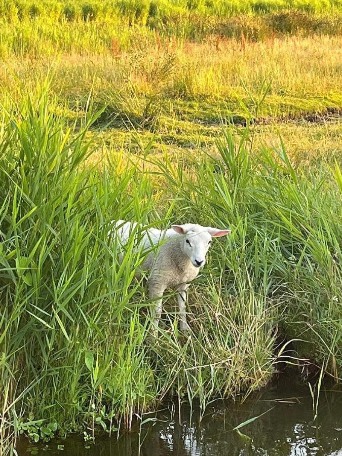 Appartamento Amsterdam Countryside Met Airco ,Geweldig Uitzicht, Luxe Keuken,Wasmachine,Droger,Gratis Fietsen Den Ilp Esterno foto